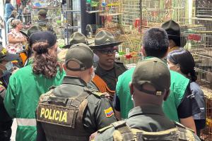 Redada Minorista Dic3