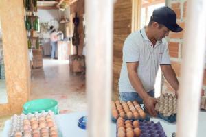 400 personas víctimas del conflicto armado retornaron a sus hogares en 2024. La Alcaldía de Medellín acompañó esos procesos