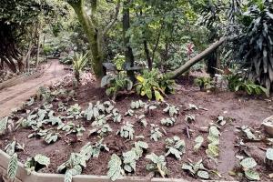 [FOTOS] Con una inversión de $82 mil millones, Medellín recupera el 100% de sus áreas verdes 