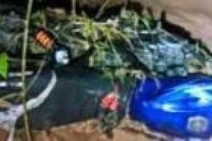 Motociclista perdió la vida al ser arrastrado por una corriente súbita en zona rural de Valparaíso