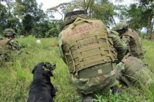 Operativos del Ejercito Nacional