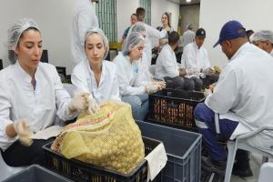 Más de 77 toneladas de alimentos fueron recuperados en las plazas de mercado en Medellín, logrando beneficiar a más de mil familias
