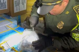 Megaoperativo antidrogas en Antioquia: Incautan 60 kilos de marihuana "creepy" 