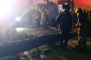 Caída de un árbol dejó dos policías heridos en el centro de Medellín
