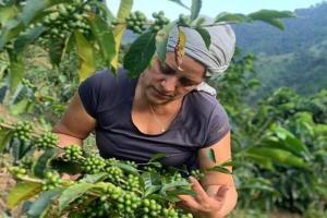 Productores agropecuarios