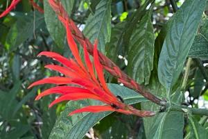 Nueva planta en el suroeste antioqueño 