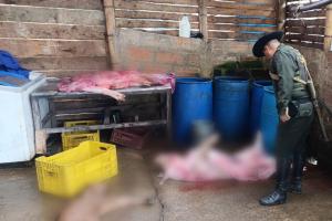 Incautan 3 toneladas de carne ilegal encaletada en una cava de aluminio en Antioquia 