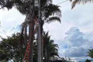 Nuevas cámaras de vigilancia en La Ceja, Antioquia