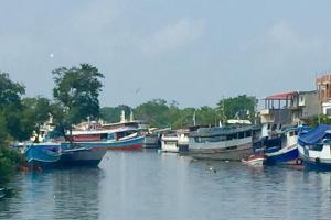 Dos tripulantes murieron por presunta intoxicación a bordo de un barco que zarpó de Urabá