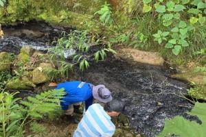 Vertimientos irregulares en quebrada Yarumal