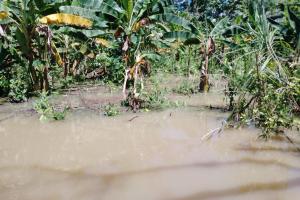 Lluvias en Vigía del Fuerte 