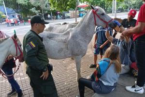 Rescataron dos equinos maltratados en Medellín: Eran utilizados para actividades recreativas 