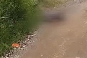 Con múltiples disparos hallaron un cadáver en Marinilla: Investigan ajuste de cuentas como posible móvil 