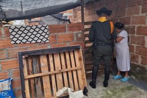 Rescataron a cuatro perritos golpeados con un palo por adulta mayor en Medellín 