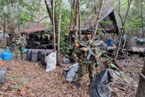 Ejército destruyó 54 laboratorios de droga del Clan del Golfo en Antioquia y Córdoba 