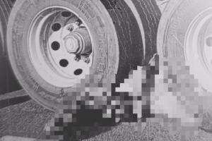 Trágica colisión en Medellín dejó a un motociclista bajo las llantas de un tractocamión 