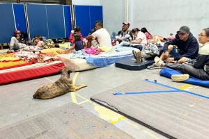 Desplazados | Ampudia, Jamundí, Valle del Cauca