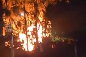 Voraz incendio consumió una carpintería en San Antonio de Prado de Medellín