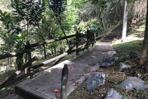 Referencia de homicidio de presunto ladrón 