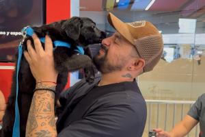 Adopción de mascotas en Medellín