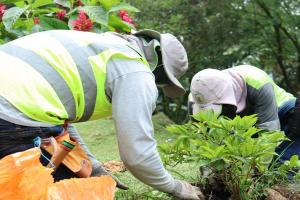 Punto crítico de residuos sólidos en Manrique