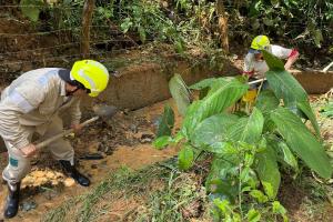 Acciones en quebradas, zonas verdes y puntos críticos de residuos en Medellín