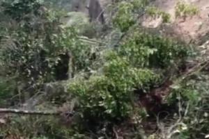 Taponamiento de vías en Argelia, Antioquia
