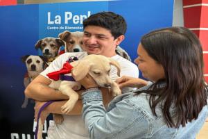 “Adopta un Superhéroe”