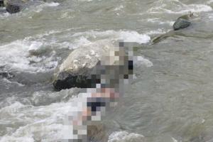 Joven de 20 años fue encontrado muerto en río de Santa Fe de Antioquia: autoridades esperan dictamen de Medicina Legal 
