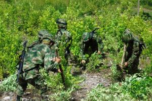 Antioquia lamentó la descertificación de Colombia contra su lucha contra las drogas 