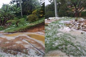 Cultivos afectados deja fuerte granizada en el municipio de Guarne, oriente antioqueño