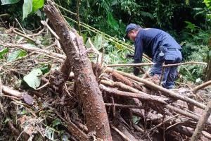 Búsqueda de las dos personas desaparecidas en Dabeiba