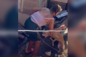 Indignación en Caucasia: Adulta mayor atacó con machete a su perro indefenso y amarrado 