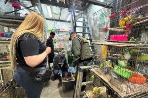 Operativo policial recupera 64 animales domésticos de La Plaza Minorista: Estaban hacinados, maltratados y con deficiente atención sanitaria