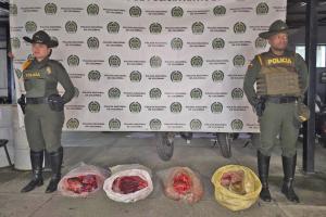 La policía decomisa 600 kilos de carne robada y 4.2 metros cúbicos de madera ilegal en operativo contra el crimen ambiental en Antioquia