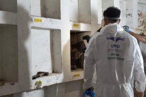 Intervención UBPD en cementerio de Caldas, Antioquia 