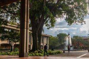 Universidad de Antioquia - 2025 - Sede Medellín 