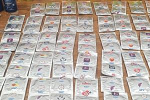 Cuatro ciudadanos estadunidenses fueron inadmitidos desde Antioquia 