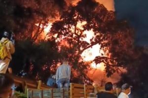 Dos personas lesionadas, tres hogares dañados y animales con afecciones respiratorias tras fuerte incendio en Manrique