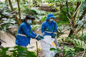 Medellín avanza en la recuperación y protección de sus quebradas con el proyecto 'Mi Río, Mis Quebradas'
