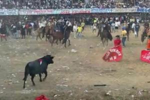 Entre los lesionados destaca un ciudadano con una cornada compleja en la zona lumbar, quien debió ser trasladado de urgencia al Hospital.
