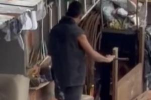 En la grabación se observa que incluso menores de edad participaron en la agresión al canino.