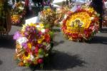 Desfile silleteros