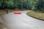 Bandera del ELN