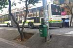 Metroplús en la 45