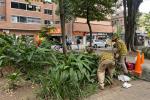 Mantenimiento de jardines en Medellín