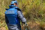 Zona limítrofe entre Antioquia y Bolívar, atrapada entre campos minados y guerra territorial