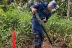 San Carlos libre de sospecha de minas antipersonal tras despeje de 24.000 m² 