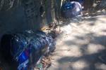 Segundo cuerpo embolsado encontrado este mes en Rionegro: estaba envuelto en cobijas y vinipel