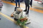 Incautación de carne de armadillo en Medellín 